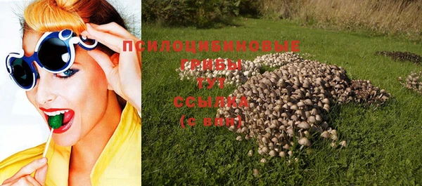 мяу мяу мука Абдулино